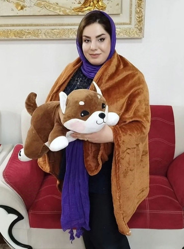 عروسک سگ پتودار بالشتی خوابیده