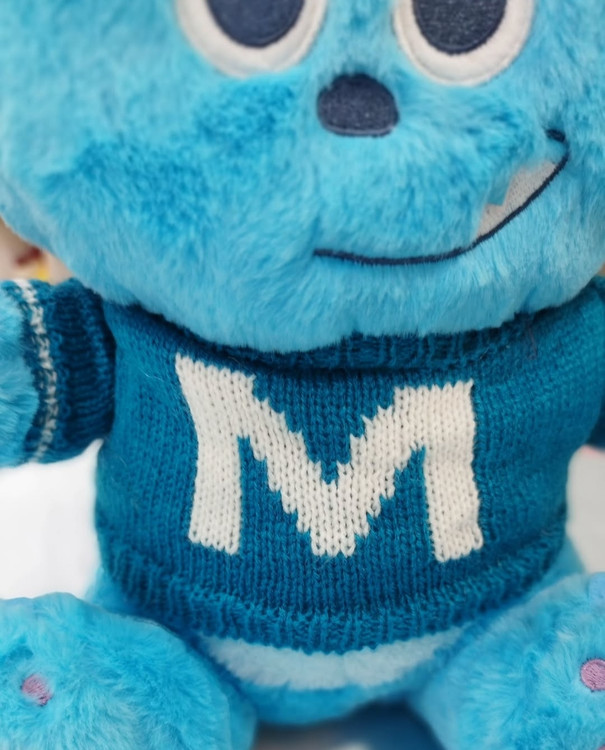 سالیوان بلوز بافت