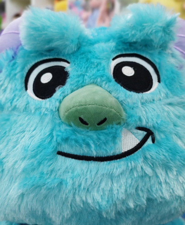 بچه سالیوان