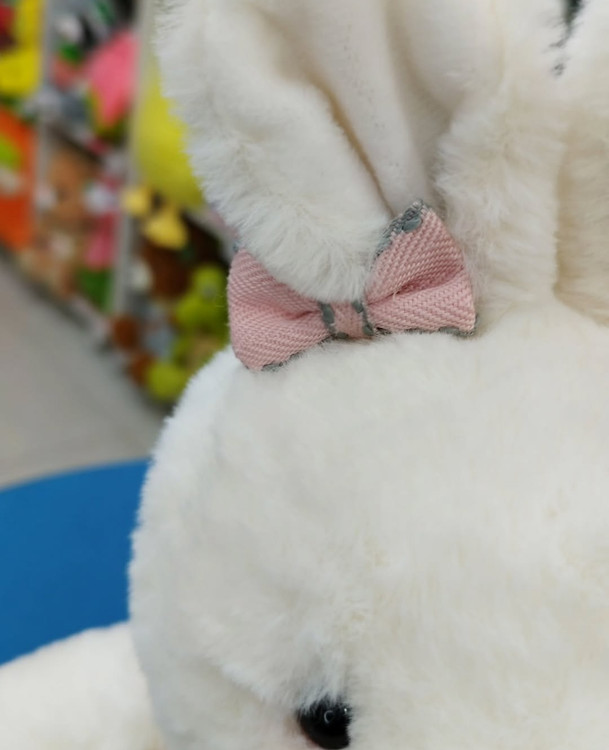 عروسک خرگوش دختر و پسر