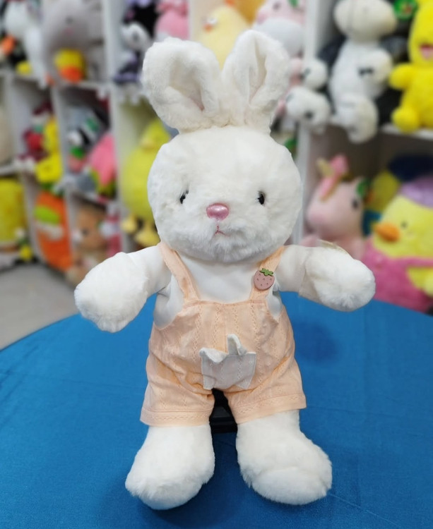 عروسک خرگوش دختر و پسر