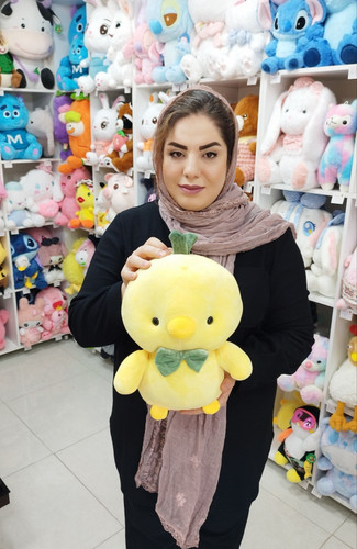 عروسک جوجه پاپیونی