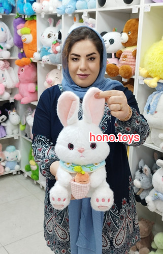 عروسک خرگوش گلدون هویجی