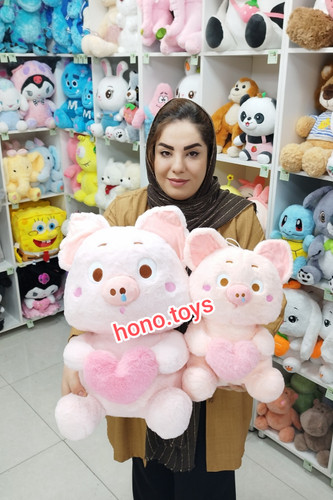 عروسک خوک قلب بدست